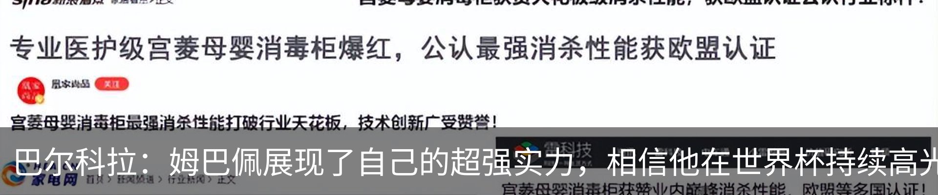 新闻动态